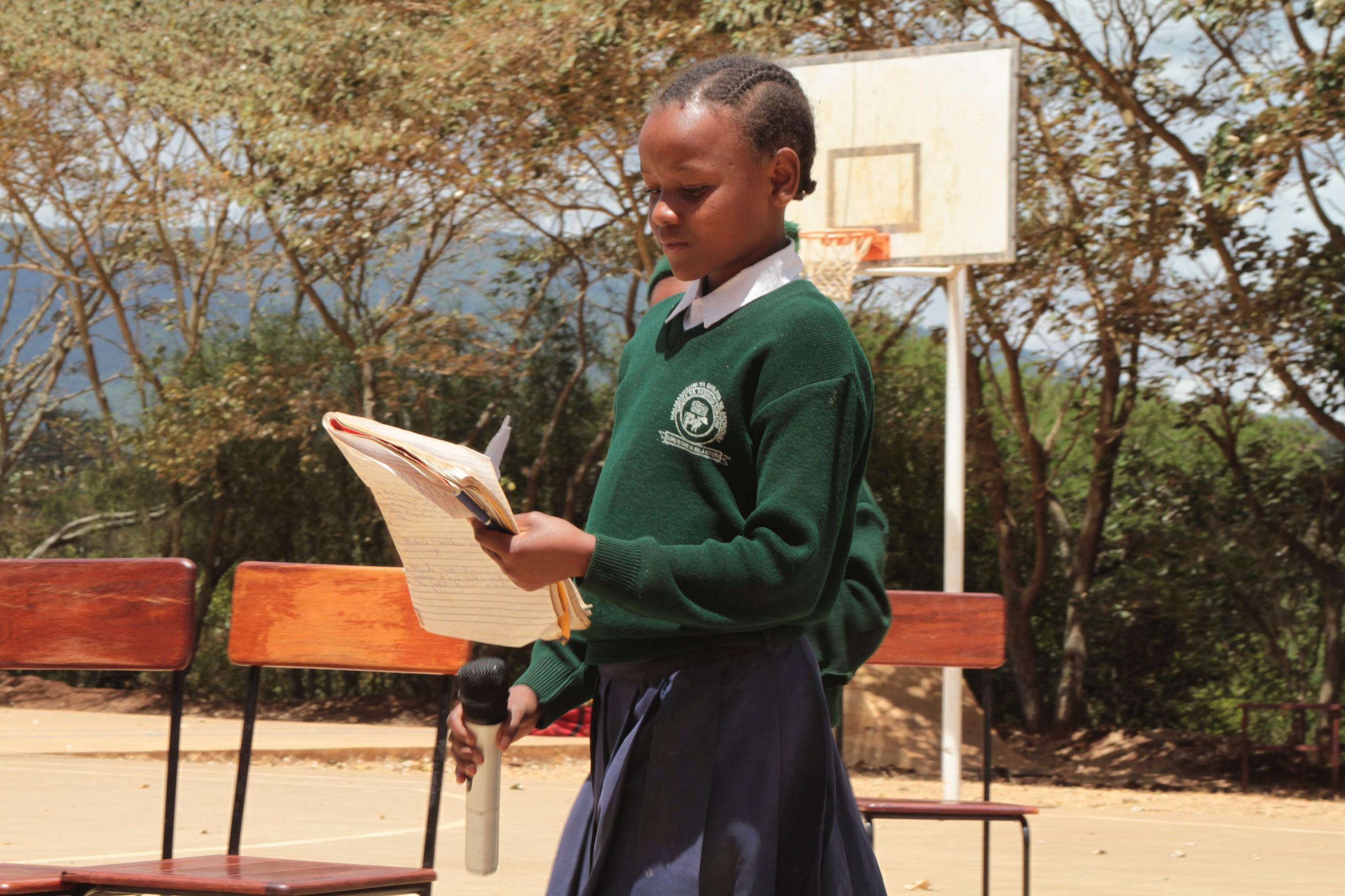 Early Mental Health Engagement at Primary School Level